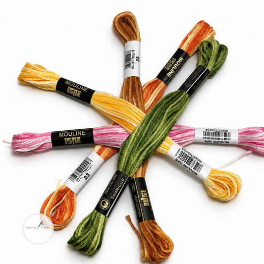 Meadas Mouliné ISPE- Cores Matizadas